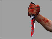 Counter-Strike | Knife